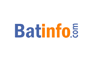 logo batinfo